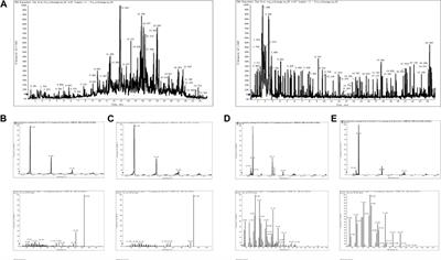 Metabolomics-based discovery of XHP as a CYP3A4 inhibitor against pancreatic cancer